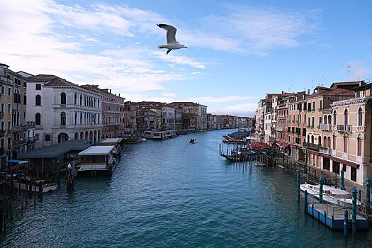 Туристов выгнали из города и выдали штраф на десятки тысяч рублей