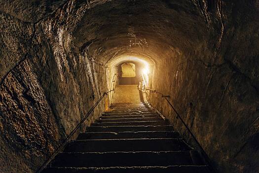 Дыра помогла раскрыть крысиную тайну