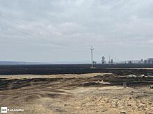 Трава на площади 600 кв метров горела в Чите