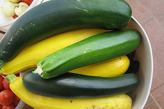 Су-шеф рассказал, когда необходимо выбрасывать кабачки