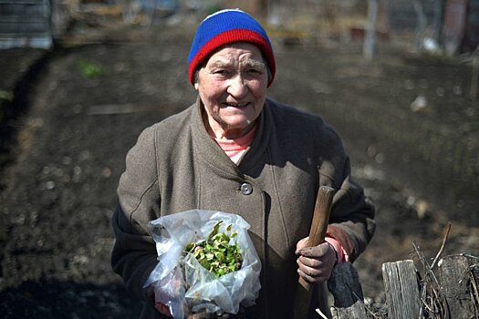 Садаводов Ленобласти обязали зафиксировать границы своих участков