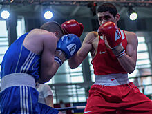 Урванов проведет бой за титул чемпиона мира WBA