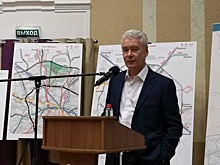 В пруду этнодеревни «Бибирево» можно будет ловить карасей – мэр Москвы