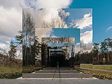 В Московской области проходит необычная выставка