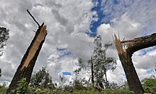 СК: начата проверка в связи с гибелью девочки в Вилейском районе