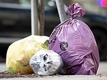 В России власти задумались о многократном увеличении штрафов за выброс мусора из авто