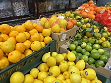 В Екатеринбург поступила крупная партия зараженных цитрусовых из Ирана и Турции