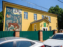 Площадь вырубки сухих и больных деревьев в Балашихе составит 50 гектаров