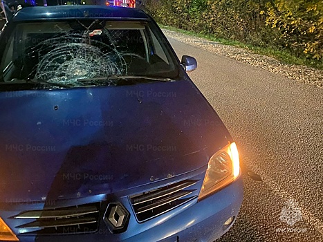 В Калужской области насмерть сбили пешехода