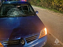 В Калужской области насмерть сбили пешехода