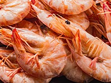 Диетолог объяснила опасность креветок для здоровья