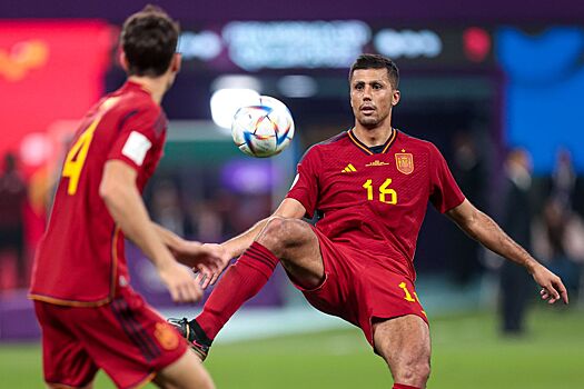 Кристоф Дюгарри раскритиковал качество игры на чемпионате Европы — 2024