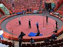 19 апреля – Международный день цирка