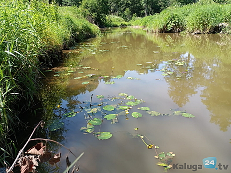 В Калужской области похолодает