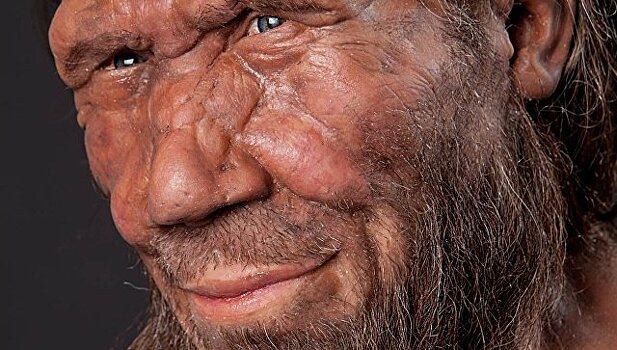 Неандертальцы помогли людям выжить на Севере