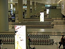 Более 80% россиян не знают о системе такс-фри