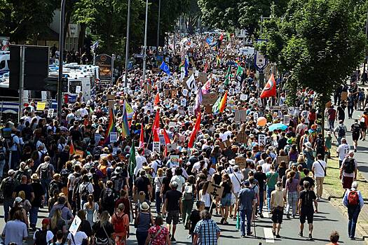 Немецкий политик укусил участника протеста