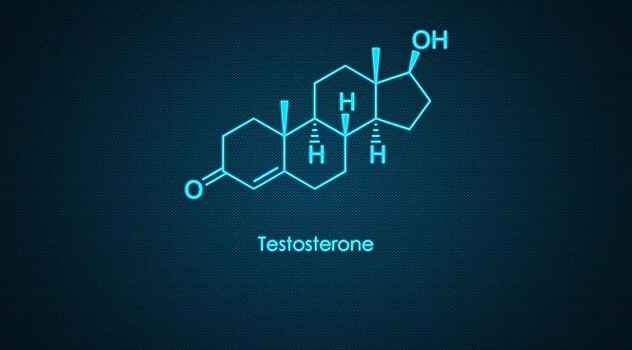 Учёные: тестостерон приносит больше вреда, чем пользы