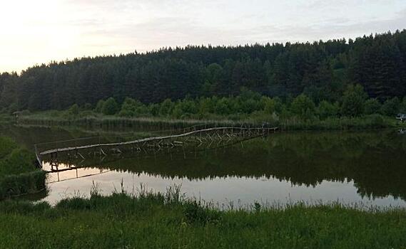 Восемь человек получили штрафы от минприроды Курской области