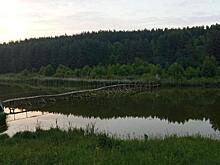 Восемь человек получили штрафы от минприроды Курской области