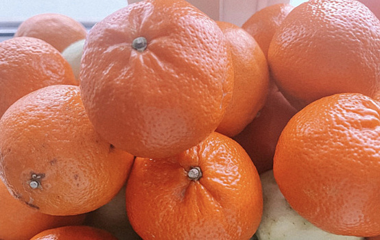 Дефицит витамина С зимой можно восполнить шиповником и цитрусовыми