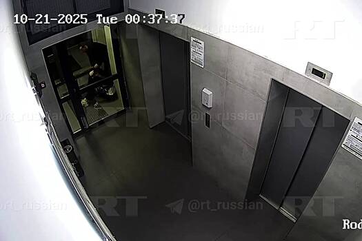 Россиянин догнал девушку-воровку и избил ее на видео