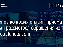 Перминов во время онлайн-приема граждан рассмотрел обращения из трех районов Ленобласти