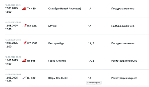 Из-за плана «Ковер» туристы не могут улететь в Турцию и Египет