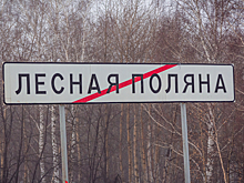 Роснедра рассказали о планах угольщиков начать добычу возле кемеровской Лесной Поляны