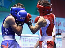 Восемь боксёров из Забайкалья прошли отбор на первенство России