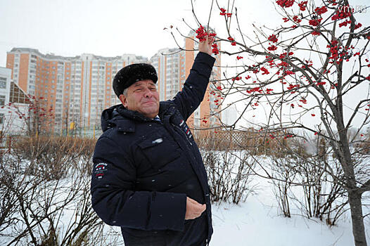 Рябиновый дворик располагает к душевным беседам соседей