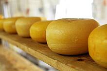 Ученые: сыр помогает в борьбе с раком