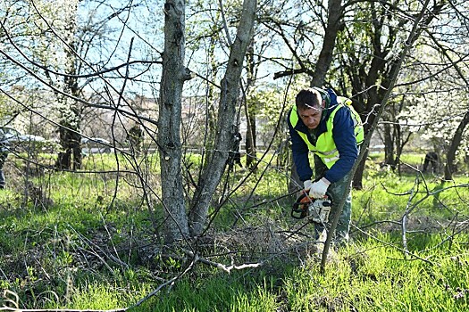 Общегородской субботник пройдет в Краснодаре 20 сентября