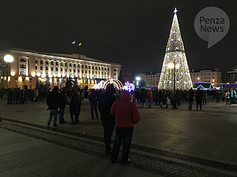 В Пензенской области к охране общественного порядка в новогоднюю ночь будут привлечены около 340 полицейских
