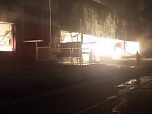 МЧС назвало причину крупного пожара в цехе в Тольятти