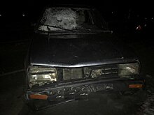 На трассе под Новокубанском насмерть сбили пенсионера