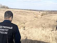 Мальчика без признаков жизни нашли в болоте в российском регионе
