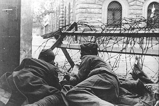 РВИО опубликовало архивные документы об освобождении Югославии 80 лет назад