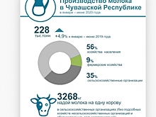 В Чувашии увеличили производство молока