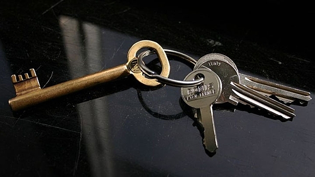 Заработавшие на обмане 6 миллионов рублей лжериэлторы задержаны в Воронеже