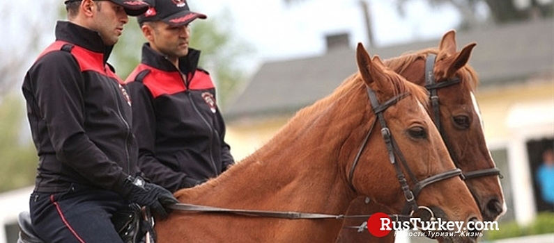 Лошади-полицейске помогают следить за порядком в Анталии