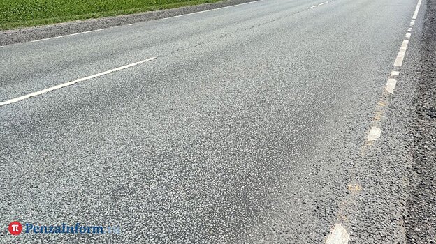 Трагедия в Кузнецке: мать погибла, отца осудили, дети - в опеке