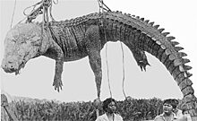 «Какофония ада»: чем в 1945 году закончилось битва японских солдат с крокодилами