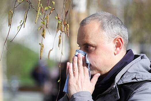Россиянам раскрыли способы взять под контроль аллергию на пыльцу