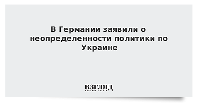 В Германии заявили о неопределенности политики по Украине