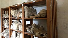 Эксперт: артефакты из музеев Крыма всегда возвращались обратно, даже после распада СССР