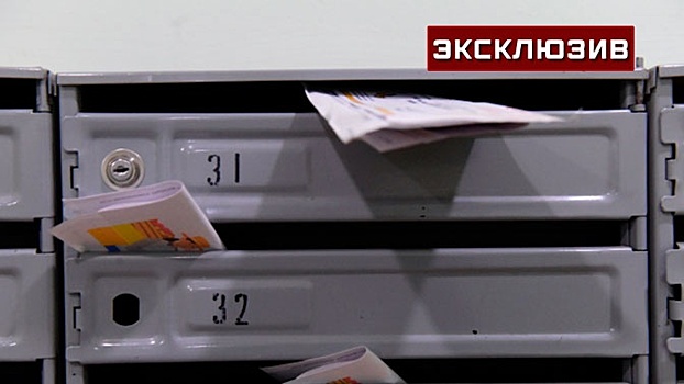 В Госдуме рассказали, как запрет на рекламу в почтовых ящиках скажется на бизнесе