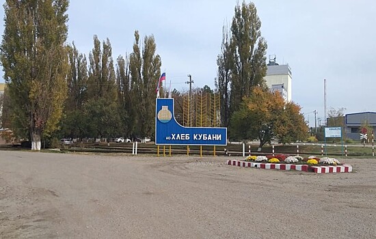 Больше 100 компаний Москвы завершили первый этап реализации нацпроекта «Производительность труда»