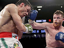 Канело о поражении Чавеса: «В боксе сейчас больше ослов, чем звезд»