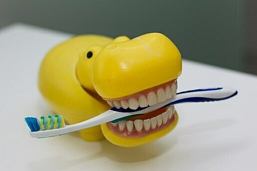 В Калининграде к стоматологу теперь можно записаться через 122